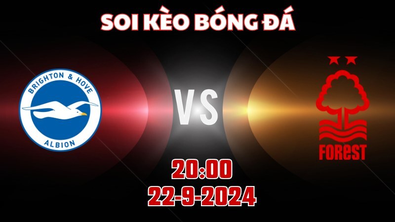 Brighton vs Nottingham